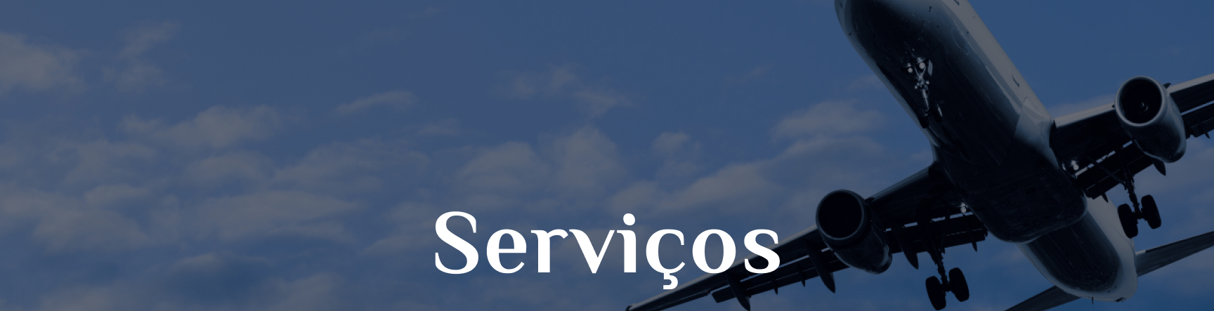 aviation service banner with a man and a woman using a tablet
